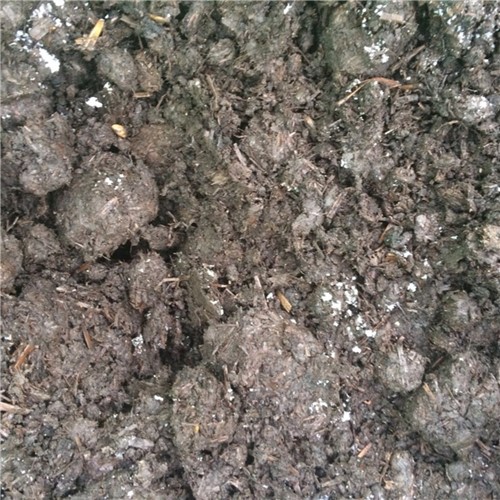 Spent Mushroom Compost (Soil Conditioner) - M³ Bulk Bag