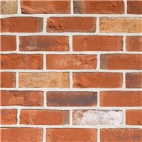 TBS Old Cottage Blend Facing Bricks