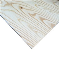 Elliotis Pine Plywood C+/C EN636-S - 2440mm x 1220mm x 12mm