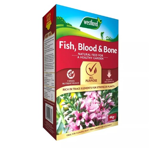 Fish, Blood & Bone - Box