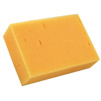 Multipurpose Sponge