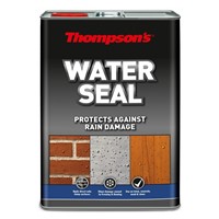 Thompson's Water Seal - Clear 5L