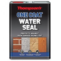 Thompson's One Coat Water Seal - Clear 5L