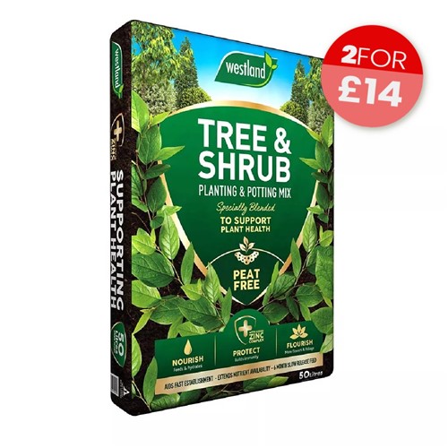 Westland Tree & Shrub Peat Free Planting Mix - 50L